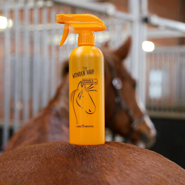 Was steckt wirklich im Mähnen- und Schweifspray?