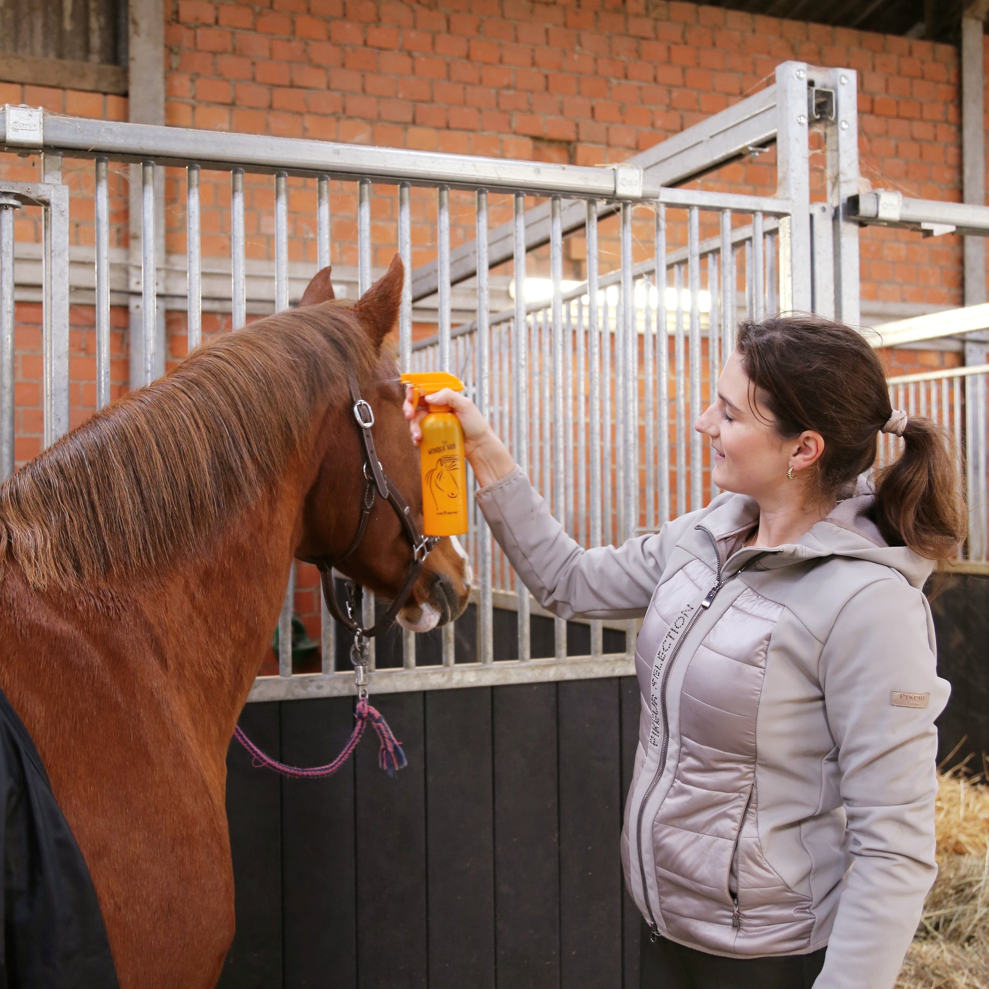 Reiterin pflegt Pferd mit Carementino Mähnen- & Schweifspray im Stall