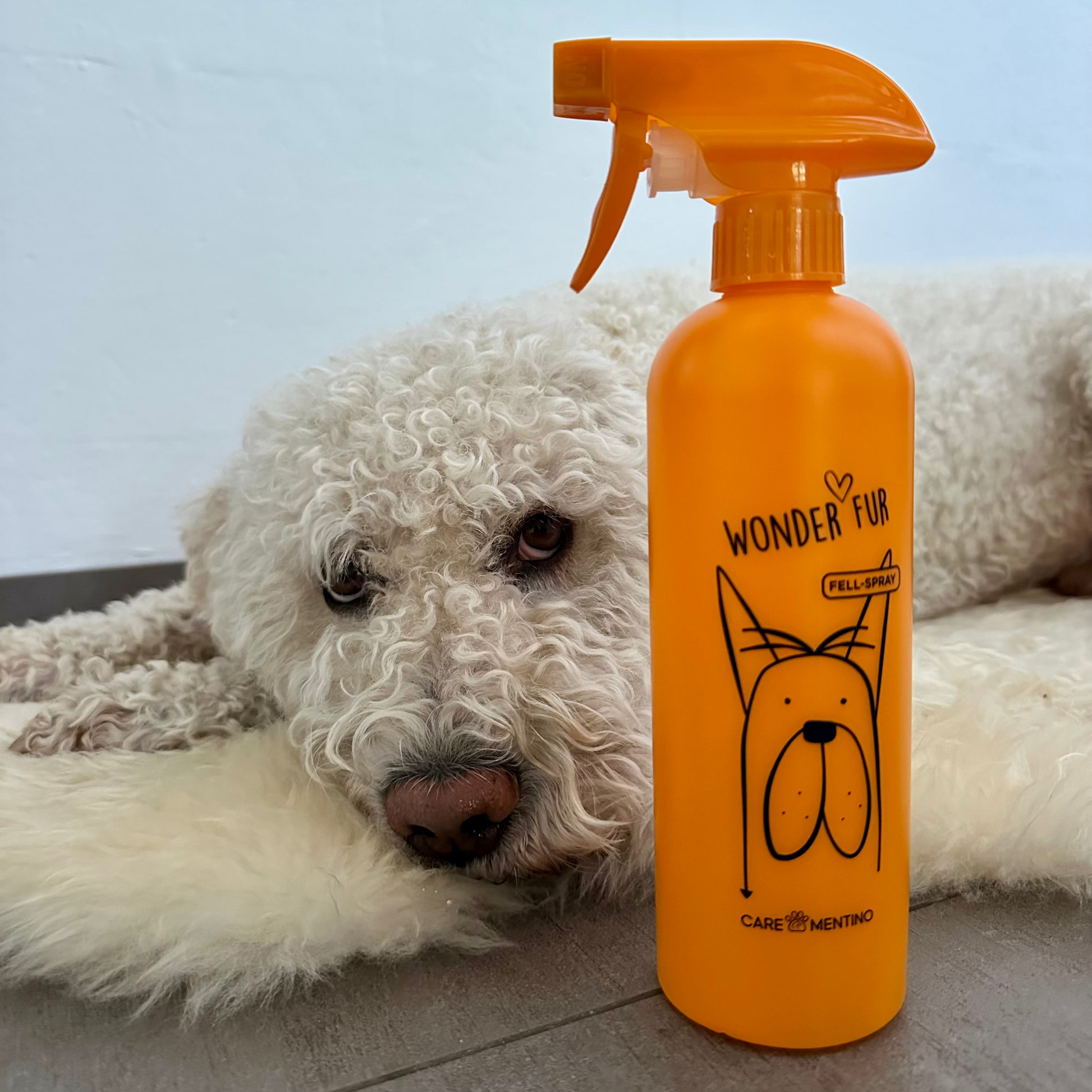 Carementino Wonder Fur Entwirrungsspray Anwendung – seidig weiches Hundefell ohne Silikone